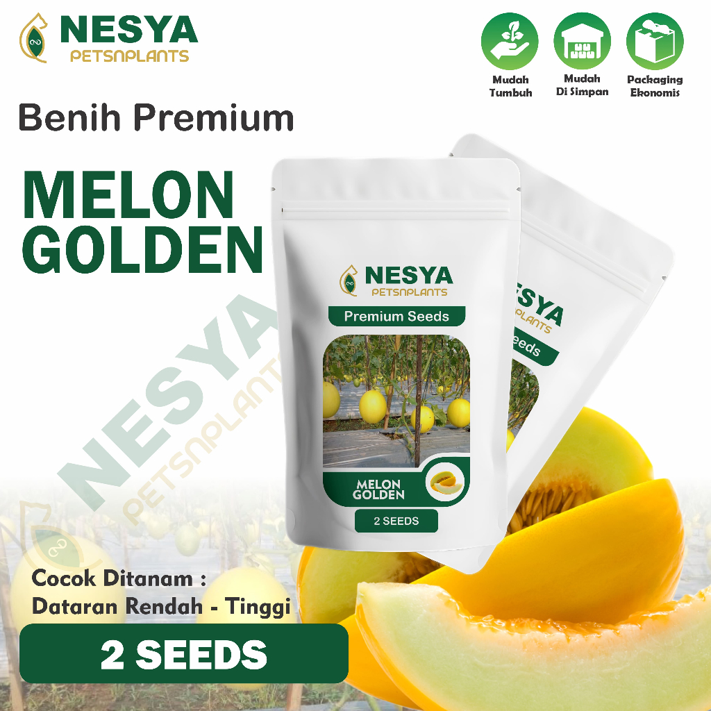 2 Biji Benih Melon Golden Buah Melon