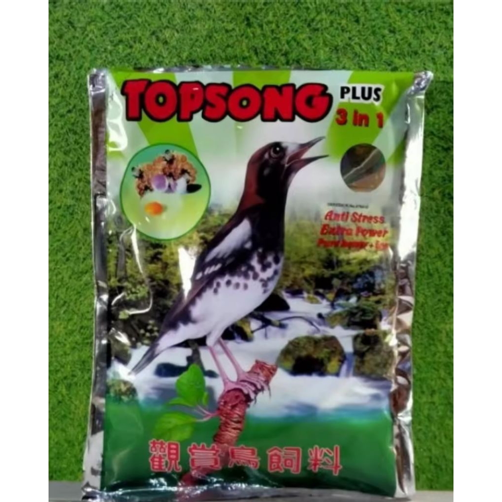 TOP SONG PAKAN BURUNG BERKICAU BISA (COD)