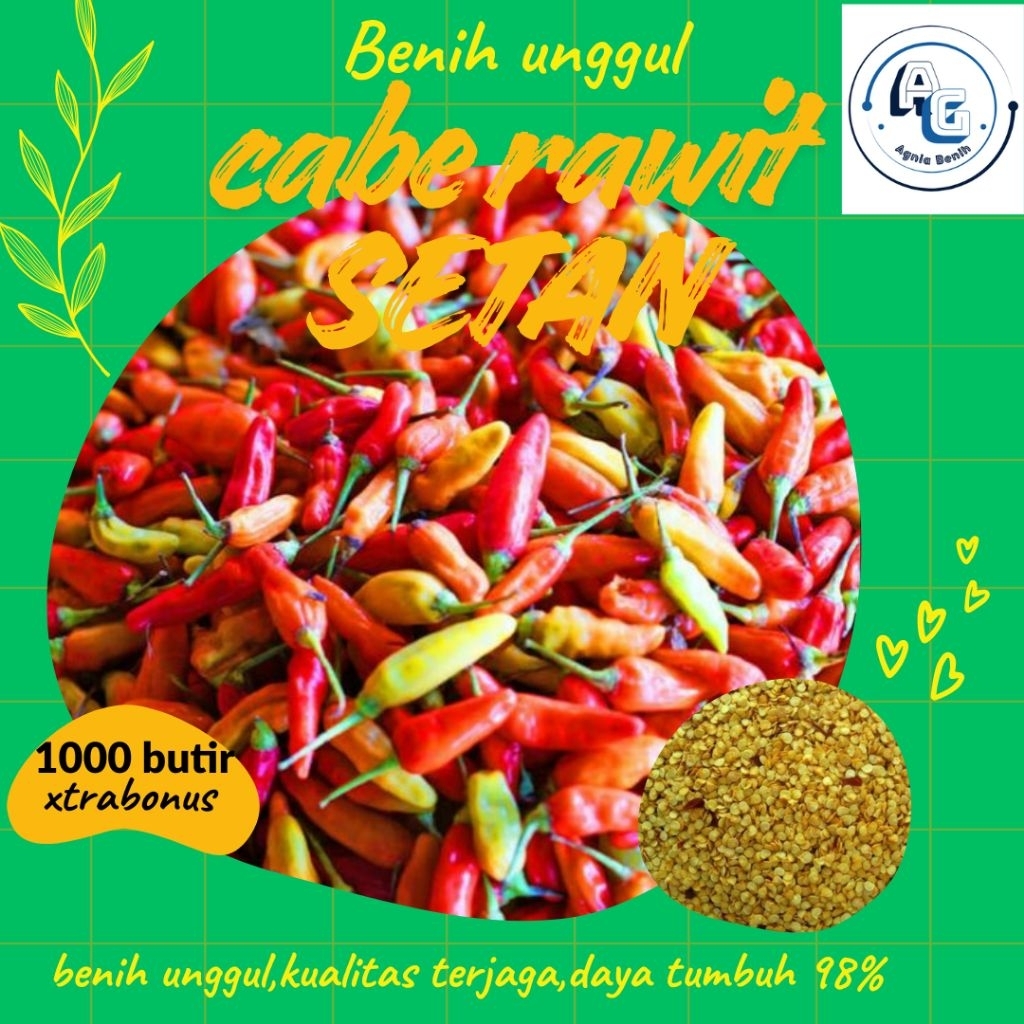 Benih +1000butir Cabe rawit setan unggul xtrabonus Benih cabe rawit setan