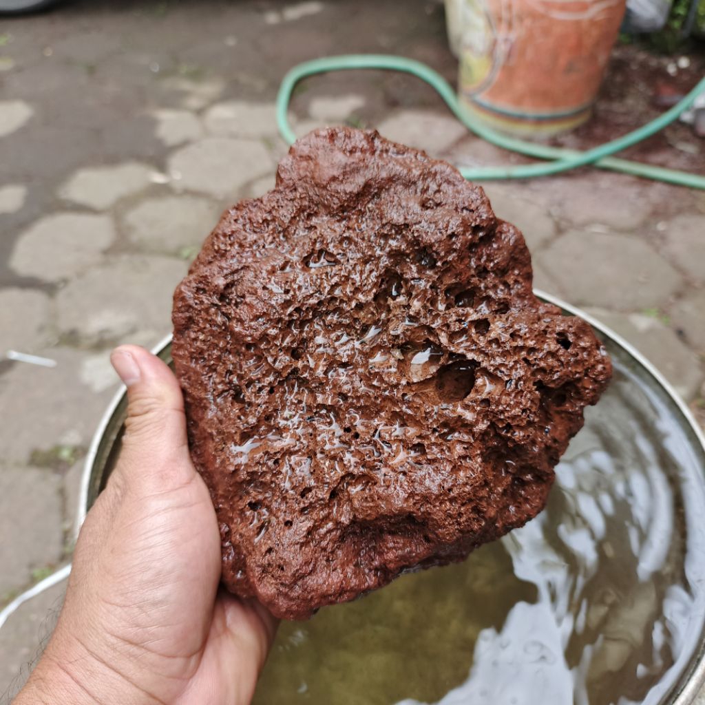 Lava Rock Merah Ringan 1Karung Cocok untuk Media Filter | Batu Paludarium Terrarium Vivarium Cocok u