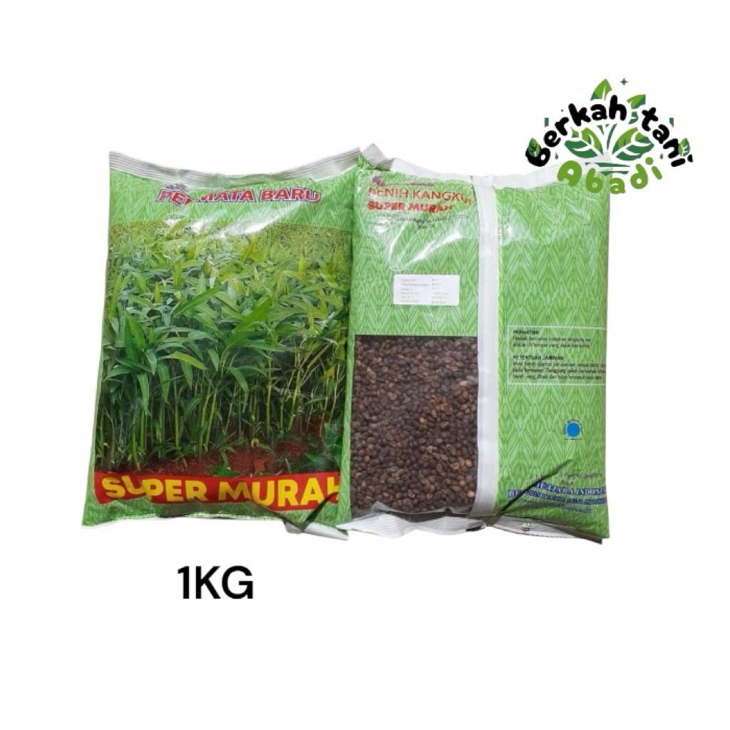 Kangkung super murah 1kg bibit kangkung daun lebar