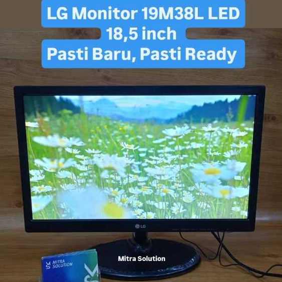 LG Monitor 19M38L LED Monitor 18,5 Inch