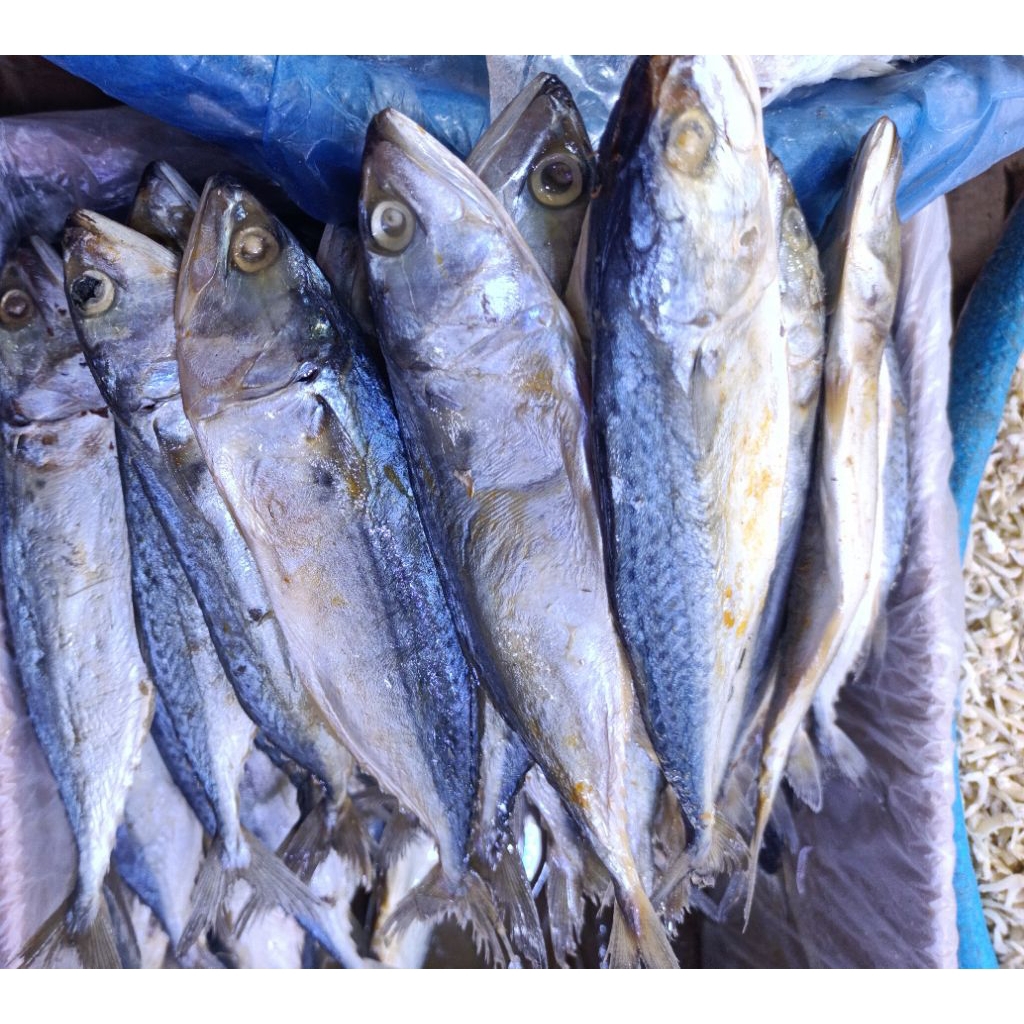 ikan asin gembung peda