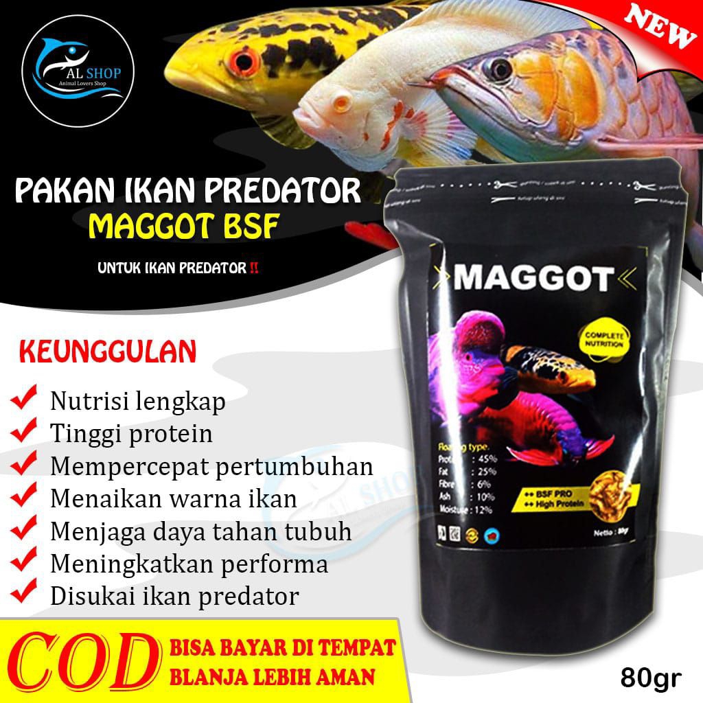 Maggot kering 80grm  pakan ikan Predator Chana, Louhan, Arwana, Oskar