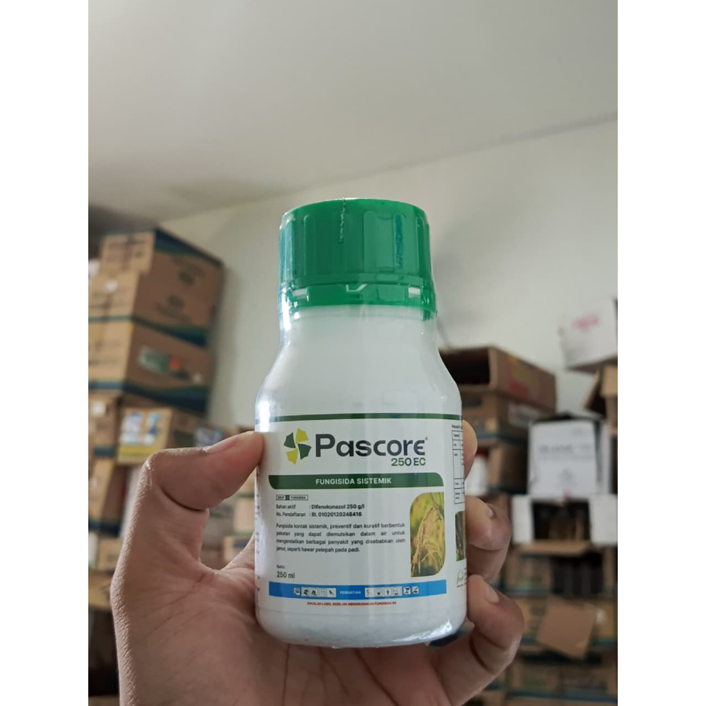 PASCORE 250 ML Fungisida Sistemik