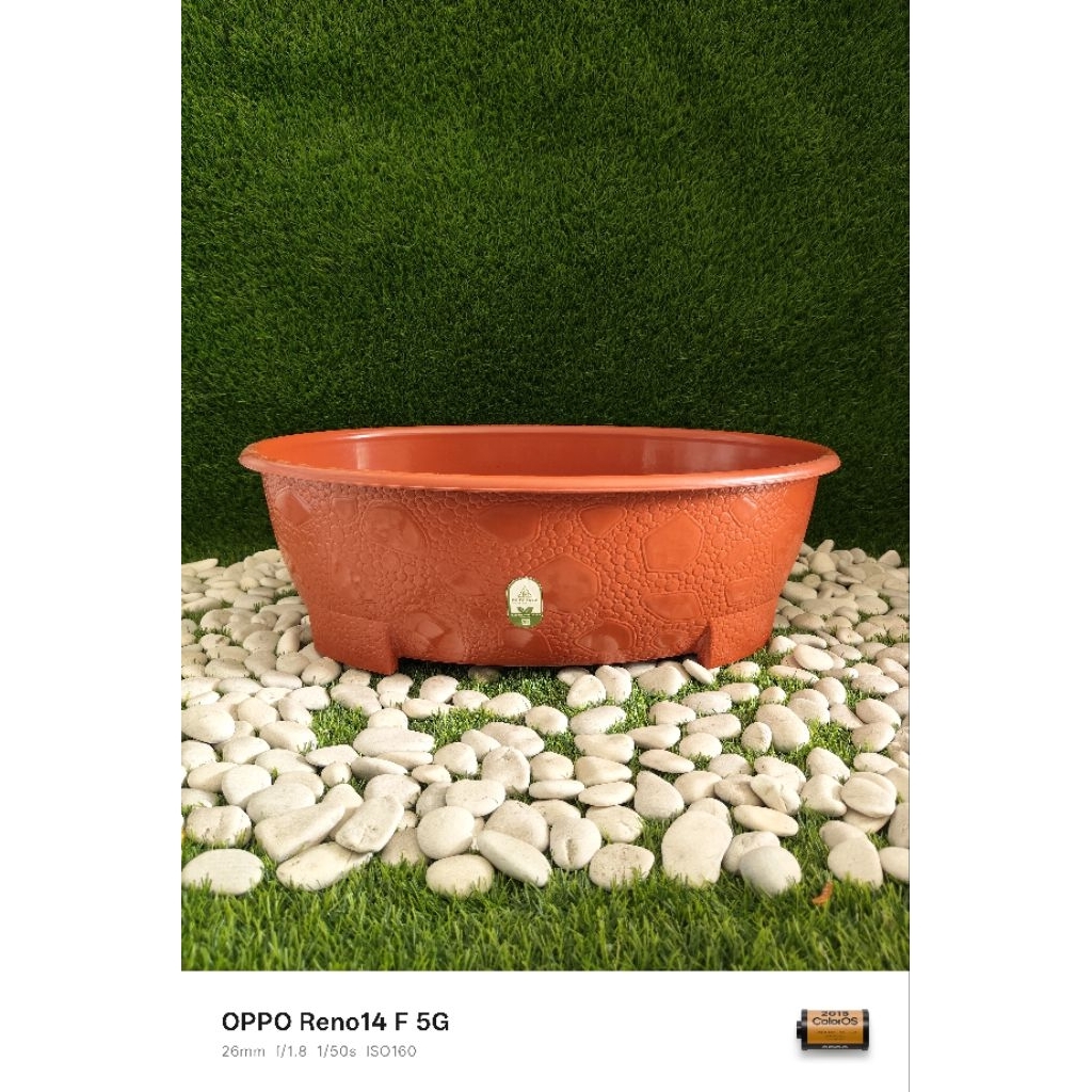 Pot Bunga Bonsai Oval Besar BJP