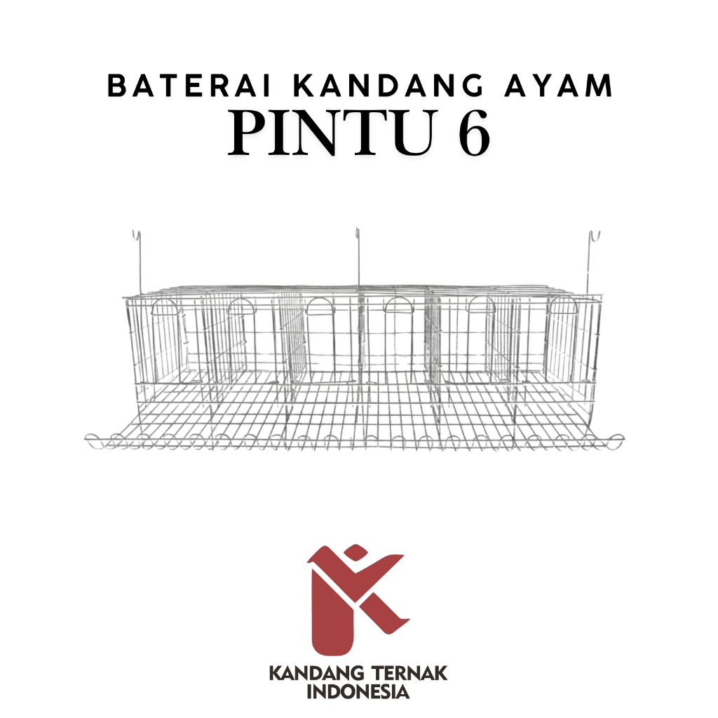 KANDANG AYAM PETELUR 6 PINTU BATERAI GALVANIS