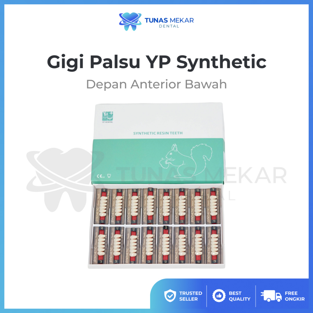 YP Synthetic 1 Box Depan Anterior Bawah Anasir Artificial Gigi Palsu Seri Dental Lab