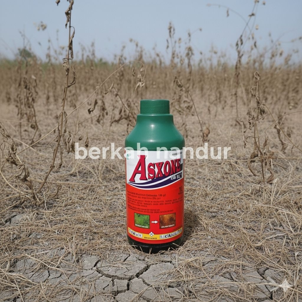 HERBISIDA ASXONE 138SL 1 LITER - PEMBAKAR RUMPUT LIAR