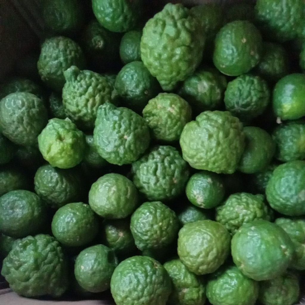 jeruk purut 1kg/jeruk purut/bumbu dapur/herbal