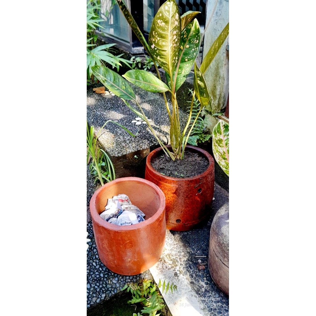 POT TANAH LIAT ALAMI 20 cm tinggi 20 cm
