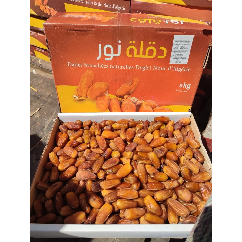 TUNIS MADU 5 KG DEGLET | KURMA TUNIS MADU DEGLET NOOR | DEGLET NOOR TUNISA MADU