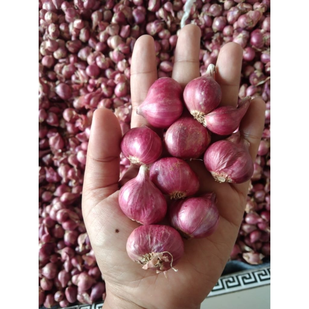 bawang merah 1 kg
