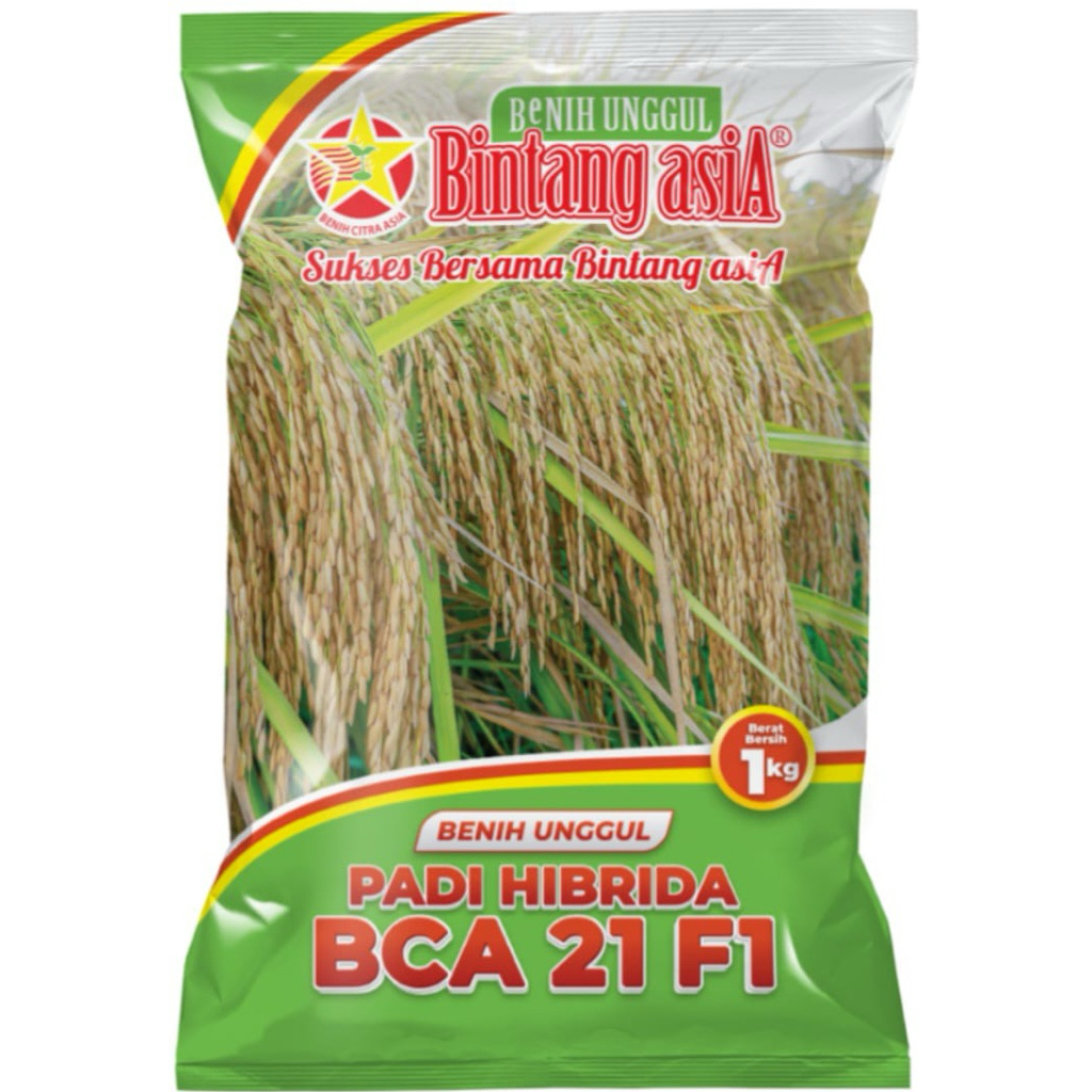 Benih Padi Hibrida BCA 21 Kemasan 1 kg Bintang Asia