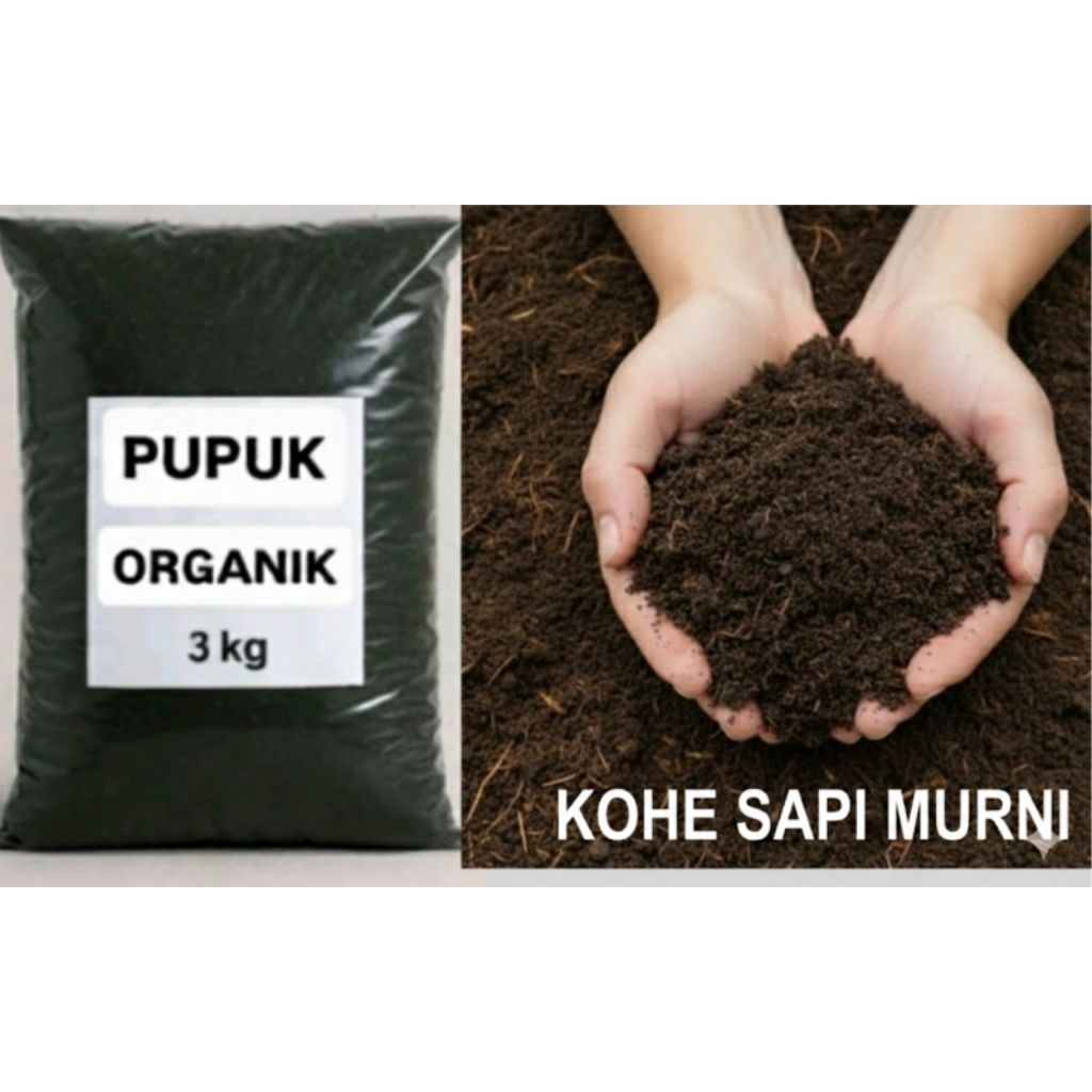 Pupuk Organik Kohe Sapi Murni 3 kg Pupuk Kandang Fermentasi untuk Tanaman