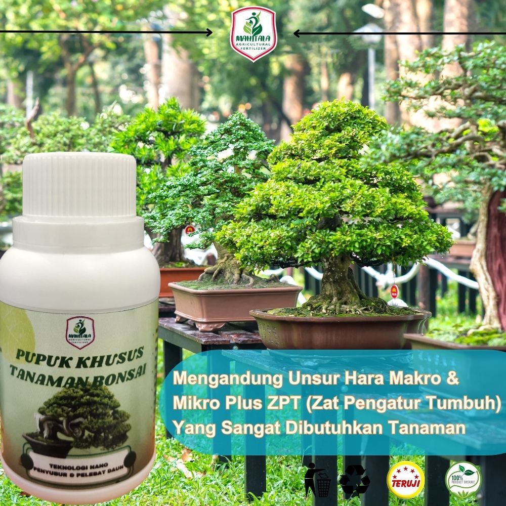 Pupuk Bonsai Pemacu Perangsang Penyubur Penguat dan Pelebat Daun Akar dan Batang
