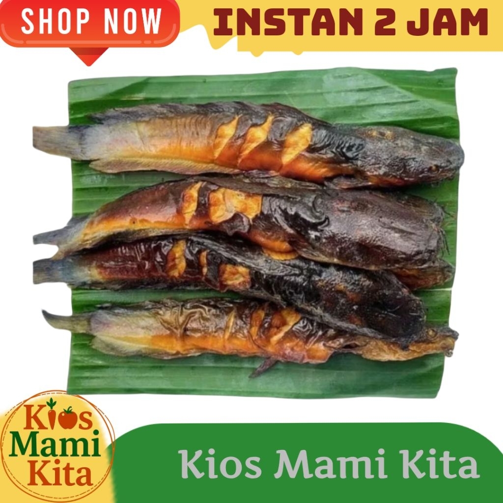 Ikan Lele Asap isi 3