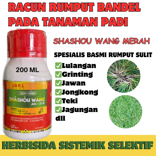 SHASHOU WANG MERAH - Herbisida Sistemik, Racun Rumput Sistemik, Pembasmi Rumput Sampai Akarnya