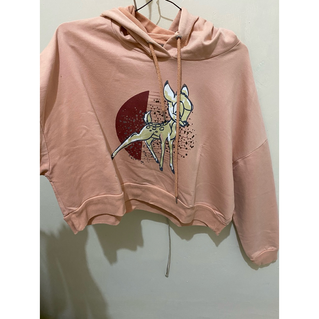 preloved hoodie colorbox -crop m