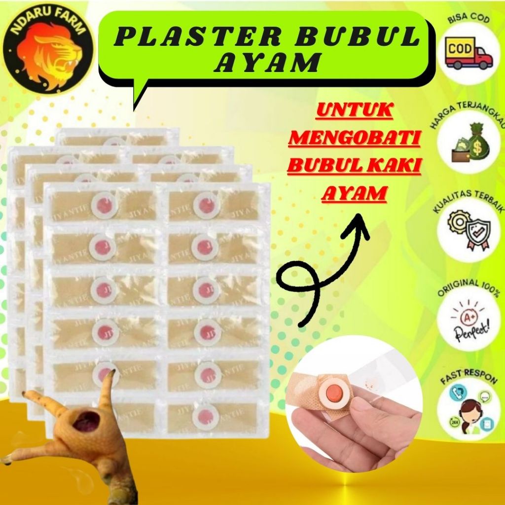 Obat Bubul Ayam Plaster Bubul Dan Caplak Ampuh NDARUFRAM