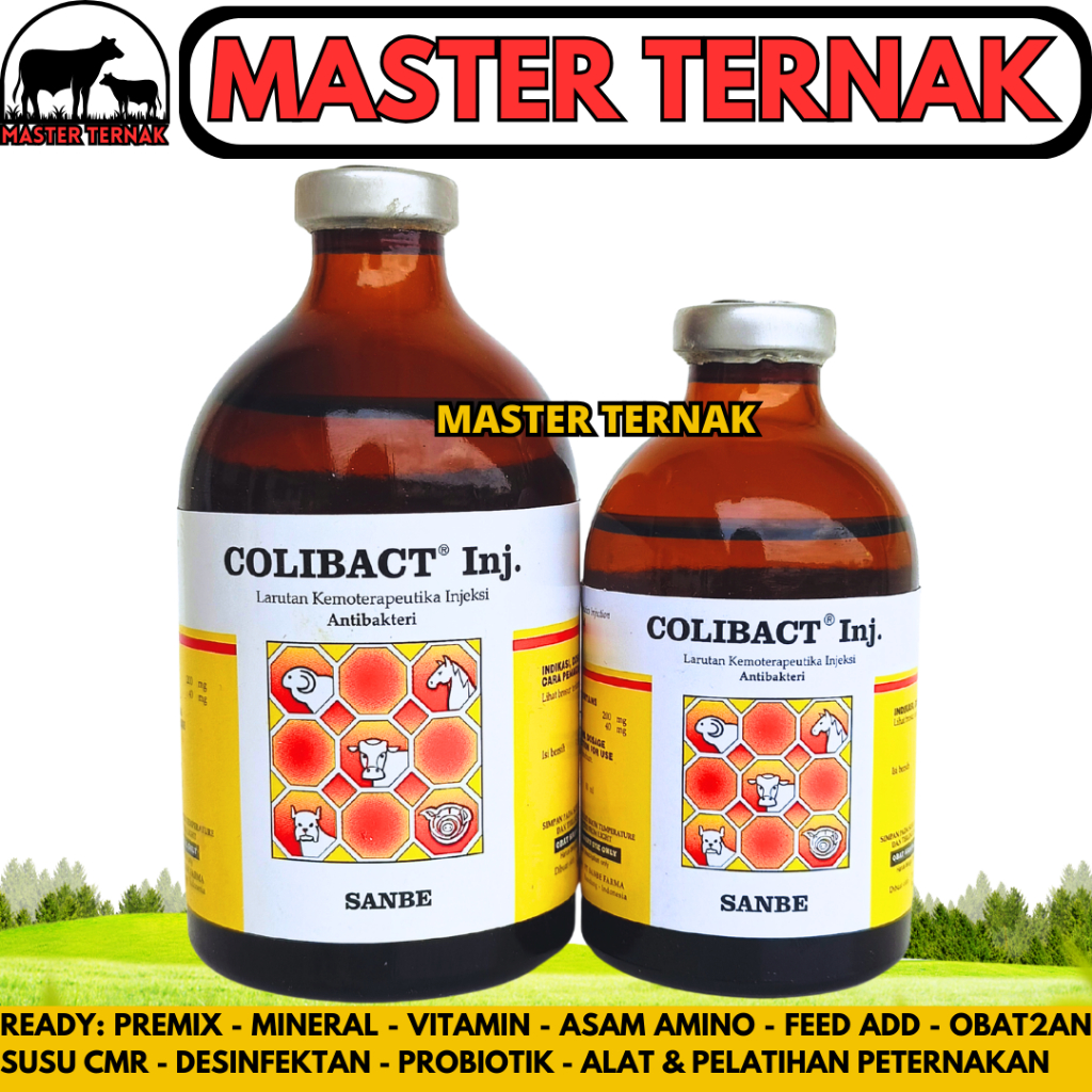 COLIBACT INJ 50ML COLIBACT INJ 100ML SANBE - Obat Hewan Antibakteri Pencernaan Ternak Sapi Kambing