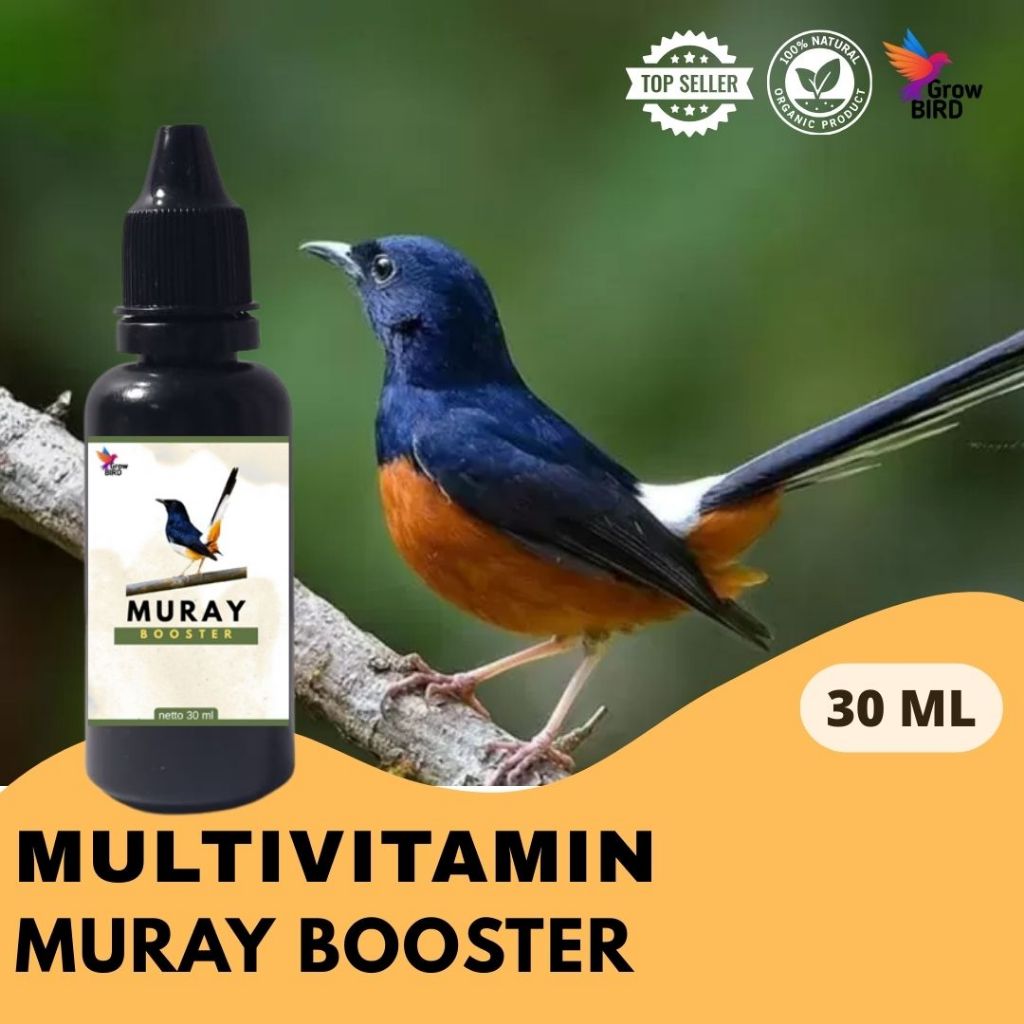 Vitamin Burung Gacor 30 ml Untuk MURAY Vitamin Penggacor Burung Rekomendasi Burung Kicau
