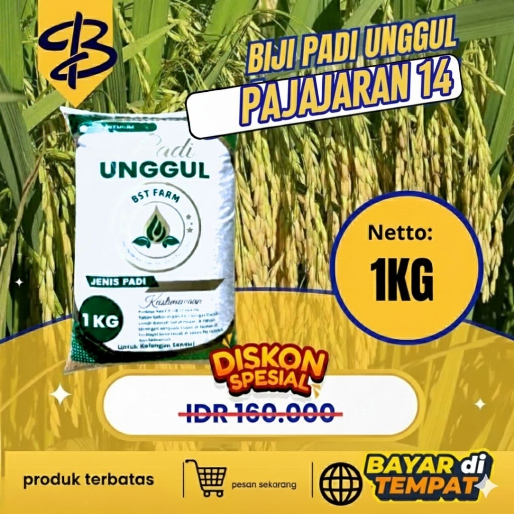 bibit padi unggul Pajajaran kemasan5kg