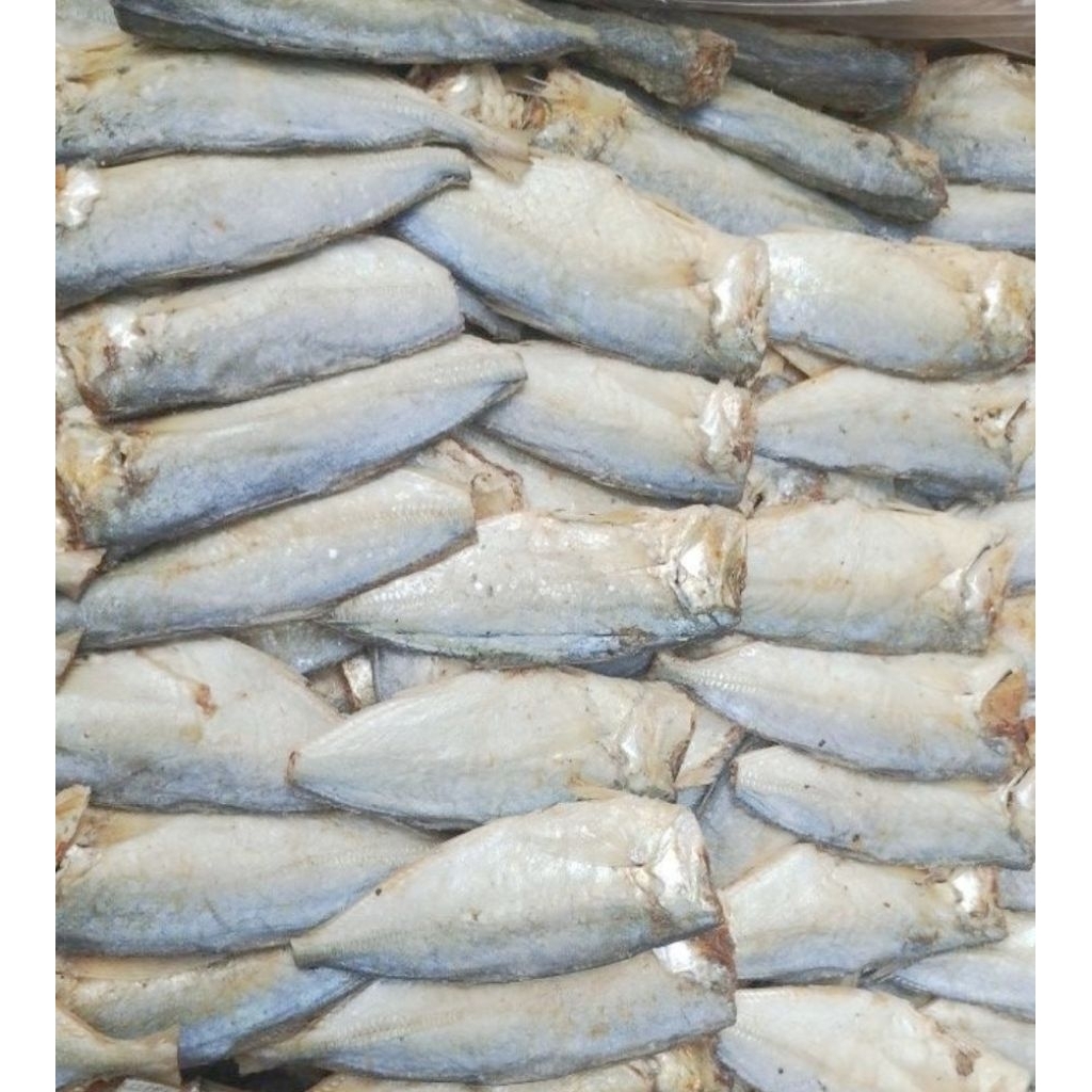 Ikan Asin Peda Buntung