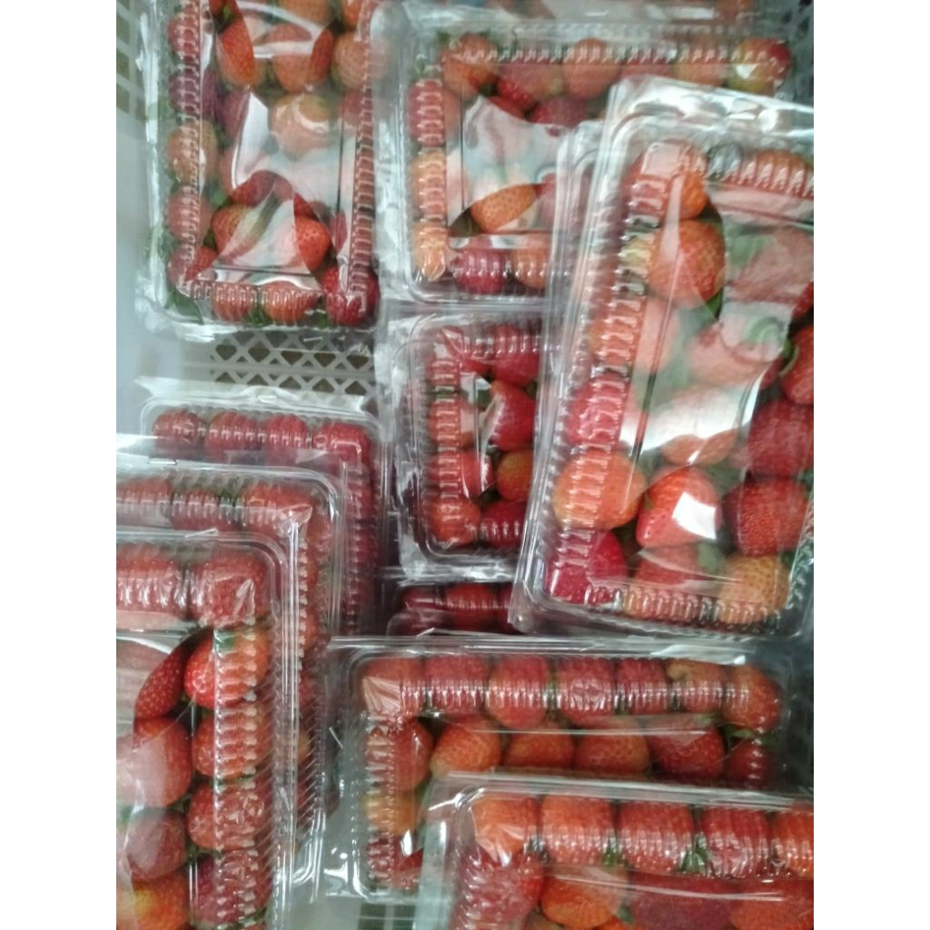 Buah Stroberi Strawberry Strowbery manis segar