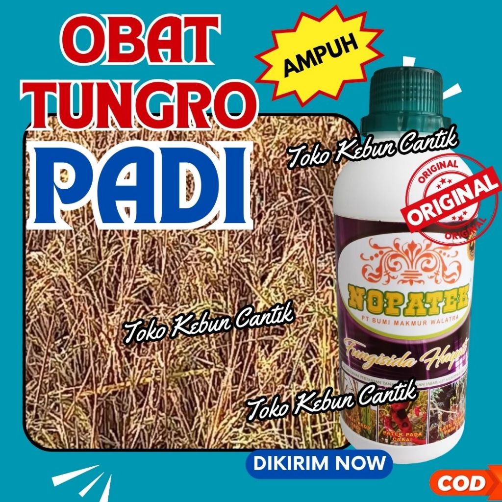 Fungisida Hayati Ampuh Padi Sawah NOPATEK 500ml