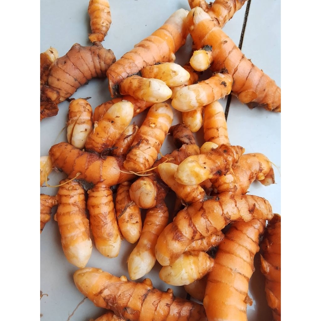 kunyit 1kg