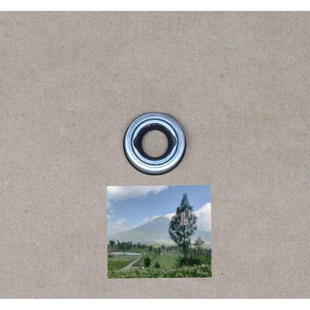 SHAFT SEAL COMPRESOR VW LUPO tahun 1998-2005 tipe SD6VRA