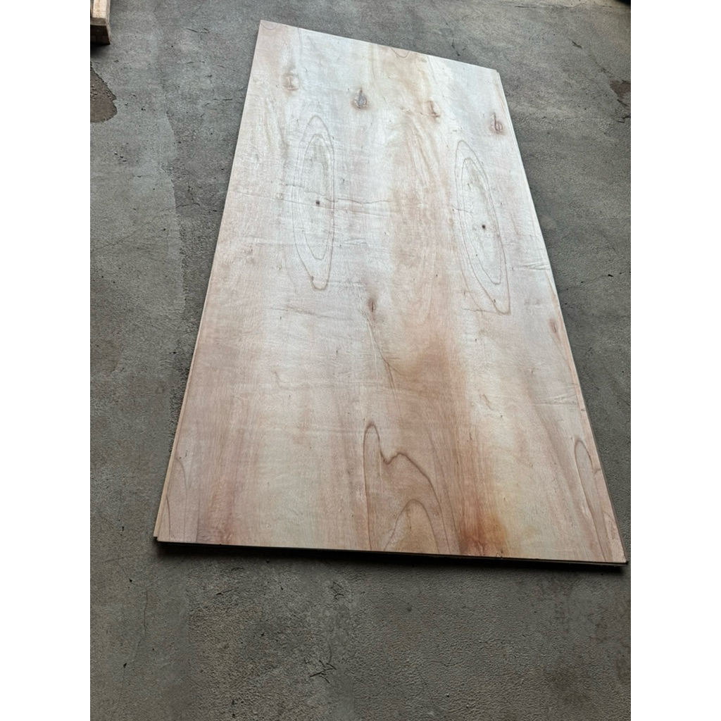 bending plywood 5mm triplek tekuk 5mm