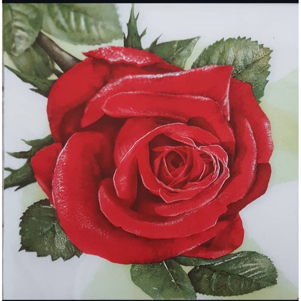 Tissue Decoupage Eropa