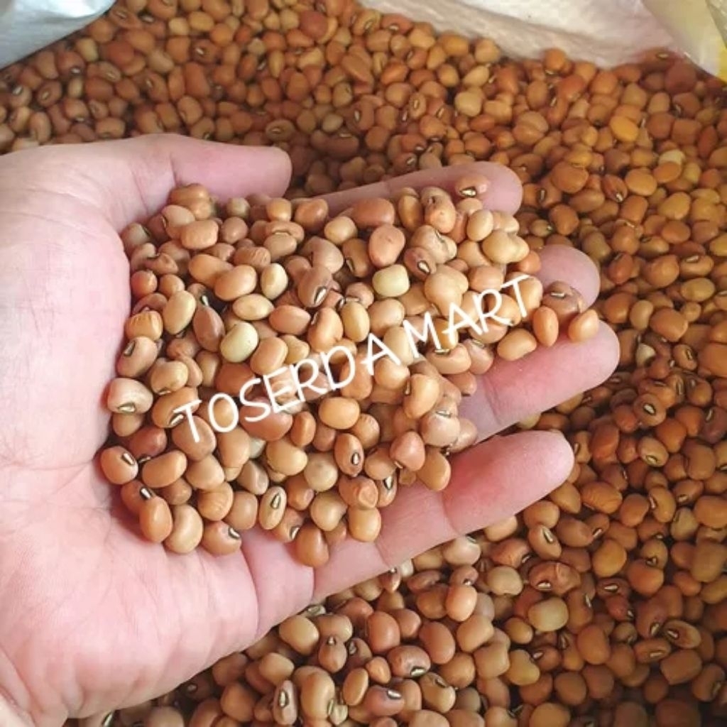 Kacang Tunggak Merah Import 1kg / Kacang Tolo Merah Super