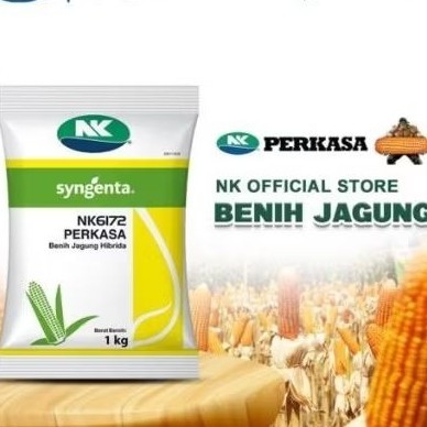 Benih JAGUNG HIBRIDA NK 6172 PERKASA 1KG #bibit jagung#jagung perkasa#bibit nk perkasa
