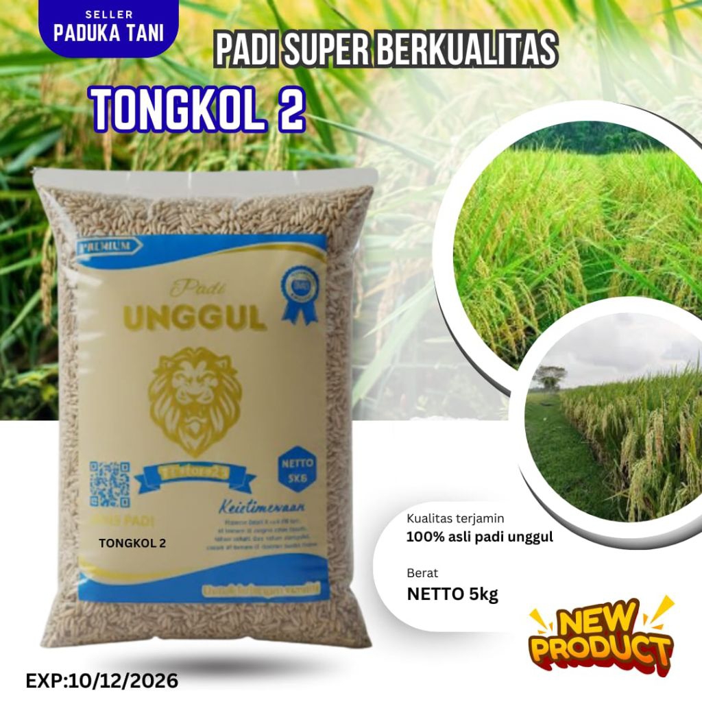 BIBIT PADI TONGKOL 2 KEMASAN 5 KG 100%ASLI