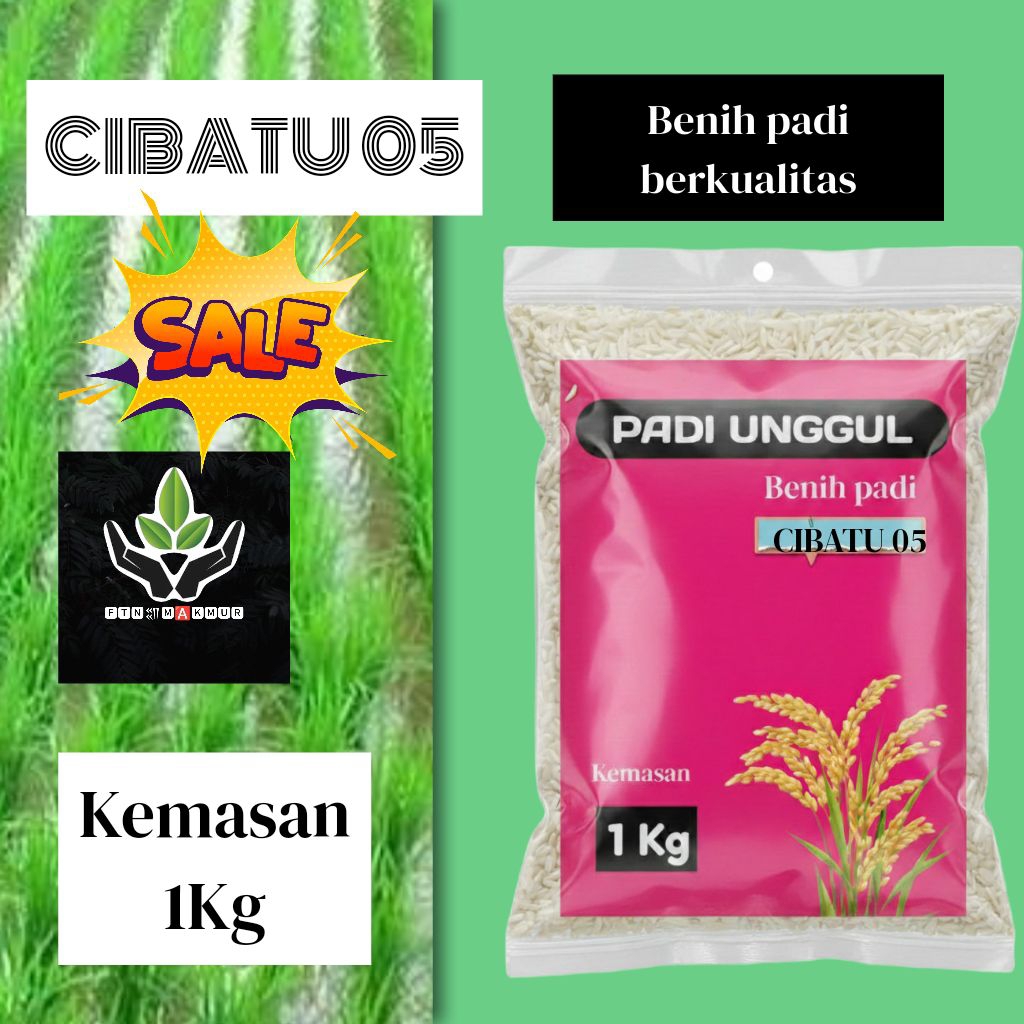 BENIH PADI UNGGUL CIBATU 05 KUALITAS PREMIUM KEMASAN 1 KG
