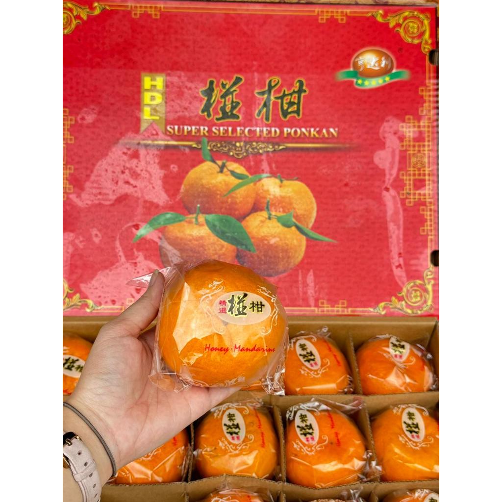 Jeruk Ponkam HDL Size 40 (BOX)