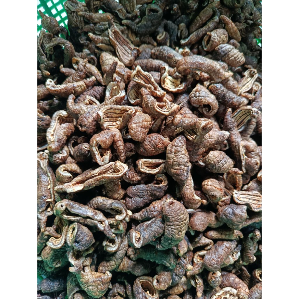 krupuk tripang gorengan (100g) enak, alami, sehat