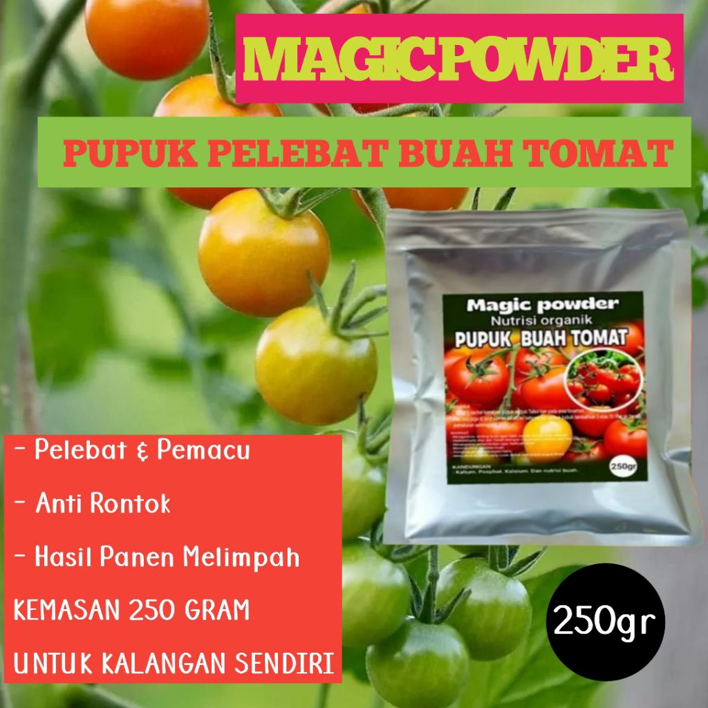 PUPUK BUAH TOMAT pupuk pelebat buah tomat