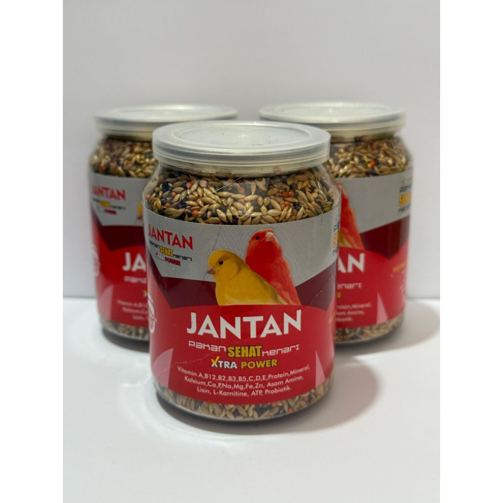 jantan pakan kenari jantan pakan kenari ternak menaikan power kenari