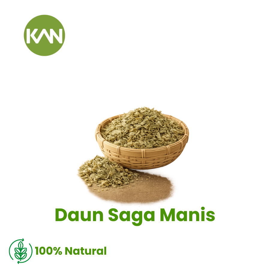 Daun Saga Manis Kering