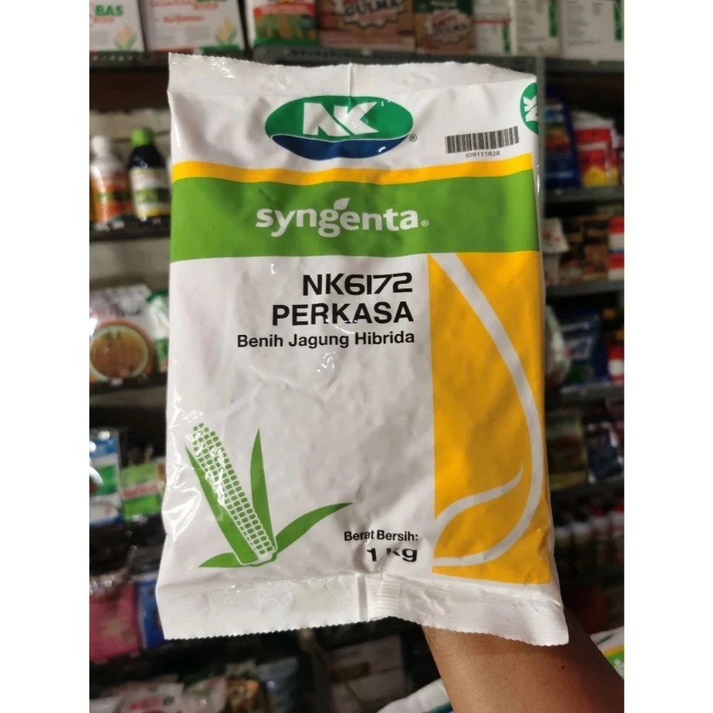 Benih Jagung NK 6172 | NK PERKASA - 1 Kg (100% Original)