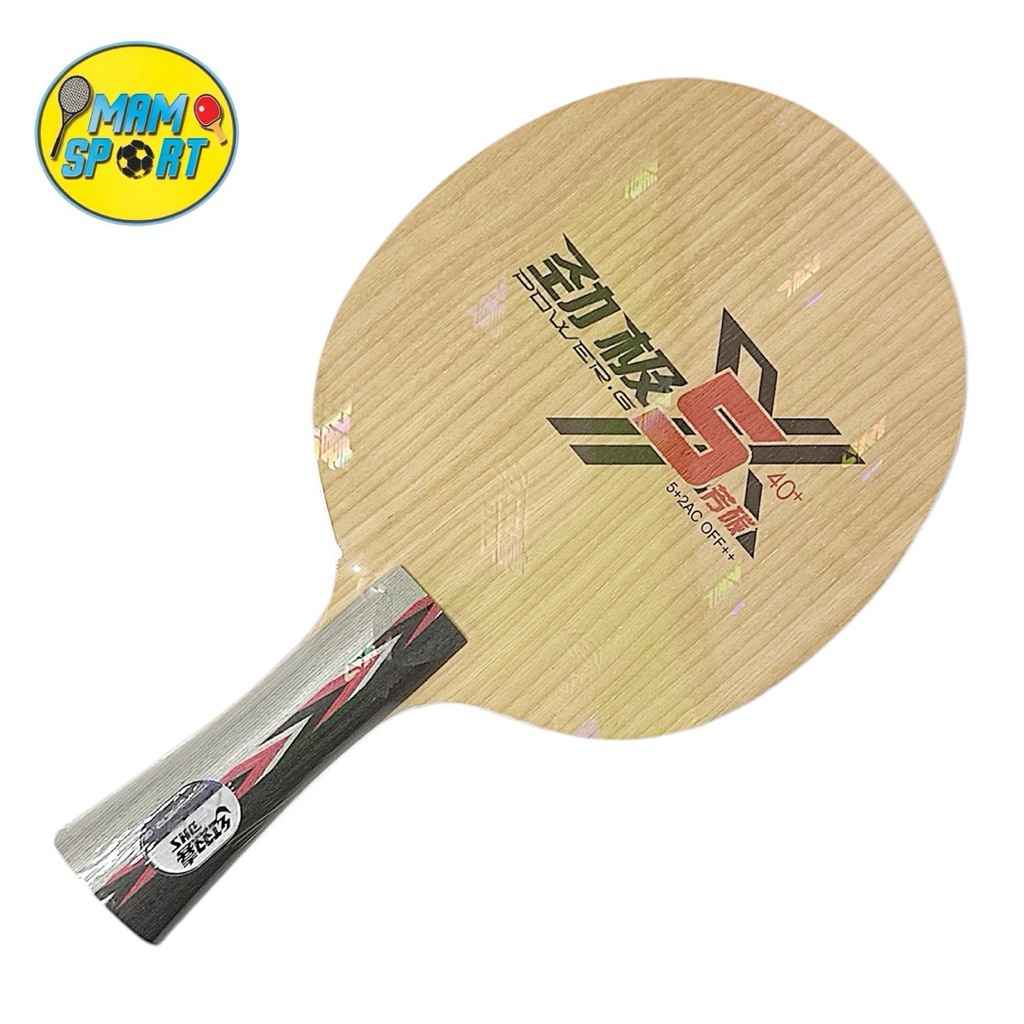Kayu Bet Pingpong Tenis Meja DHS POWER G PG5X 40+ CARBON Original