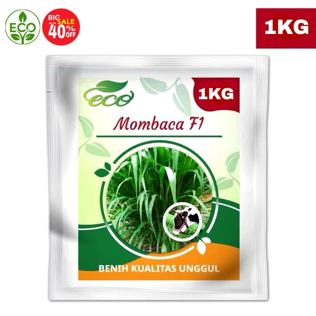 (BISA COD) Benih Rumput Mombaca F1 1KG - Super Produktif & Tahan Lama