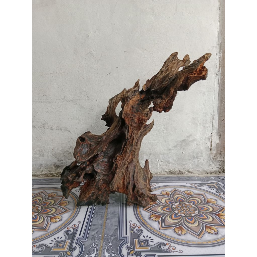 RENTEK ATAU POSIL KAYU MALA BERKUALITAS  UKURAN BESAR. UNIK ALAMI DAN BERKARAKTER