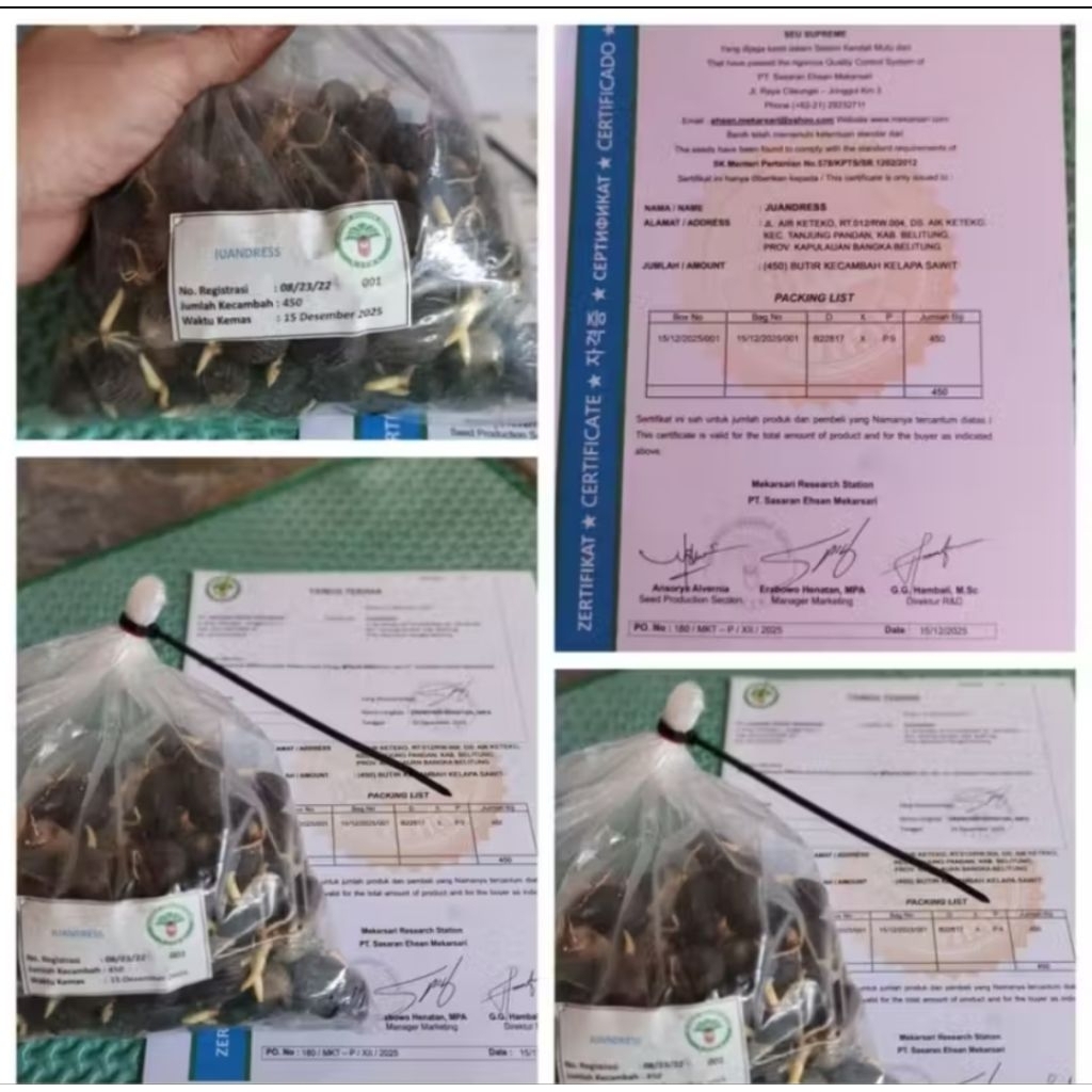 Benih Sawit Unggul DxP SEU SUPREME UNGGUL BERKUALITAS