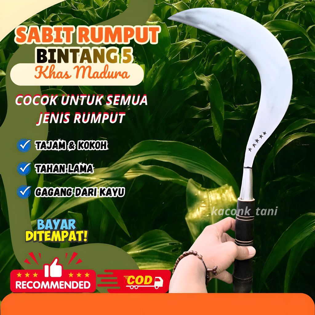 Arit bintang 5 madura 100% Baja original