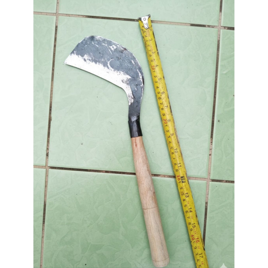 parang rumput halam4n